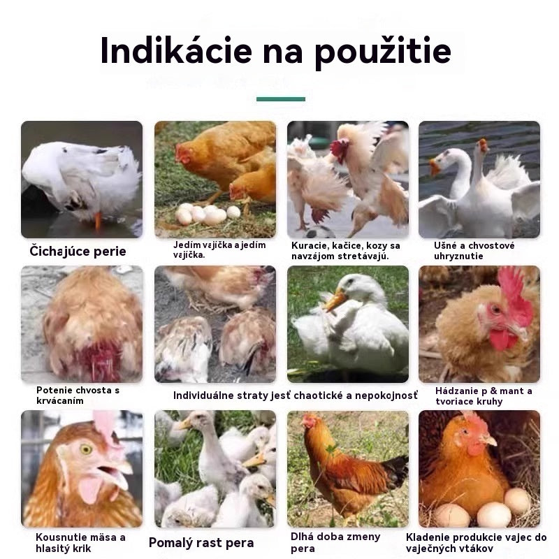 【Kúp 1, získaj 1 zadarmo】Liečba všetkých chorôb sliepok ✅ Klovanie peria, prstov na nohách alebo zadku sliepok ✅ Klovanie vajec sliepok ✅ Podvýživa hydiny ✅ Doplnok vápnika pre hydinu ✅ Všeobecná medicína pre hydinu