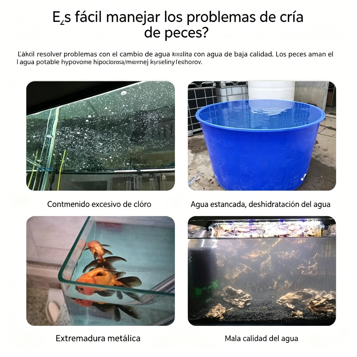 🐟【100 Tabletas】¡Compra 2 y llévate 2 gratis💧 Tabletas efervescentes para limpiar el agua de acuarios y estanques, tabletas oxigenantes para acuarios 🔥