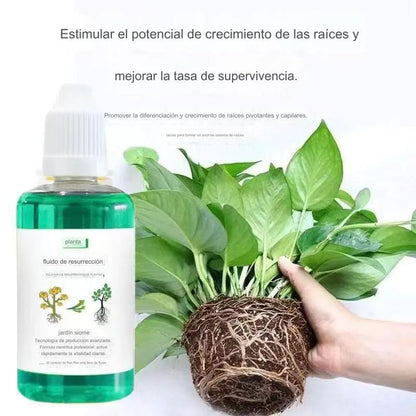 🎁【Kúpte 2, získajte 3 zadarmo】🌱🌱Tekutý roztok, ktorý stimuluje rast rastlín a kvetín