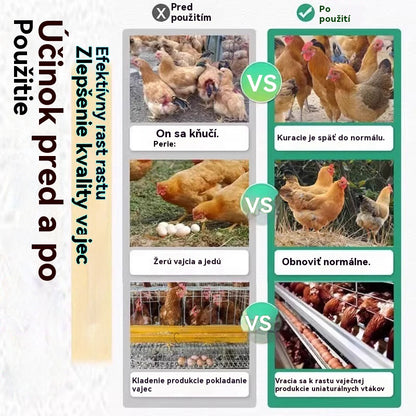 【Kúp 1, získaj 1 zadarmo】Liečba všetkých chorôb sliepok ✅ Klovanie peria, prstov na nohách alebo zadku sliepok ✅ Klovanie vajec sliepok ✅ Podvýživa hydiny ✅ Doplnok vápnika pre hydinu ✅ Všeobecná medicína pre hydinu