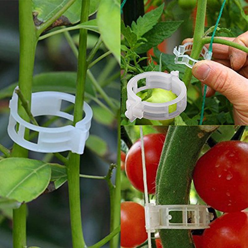 🍅🍅【200 ks】🌱Klipy na upevnenie rastlín pre zdravý rast