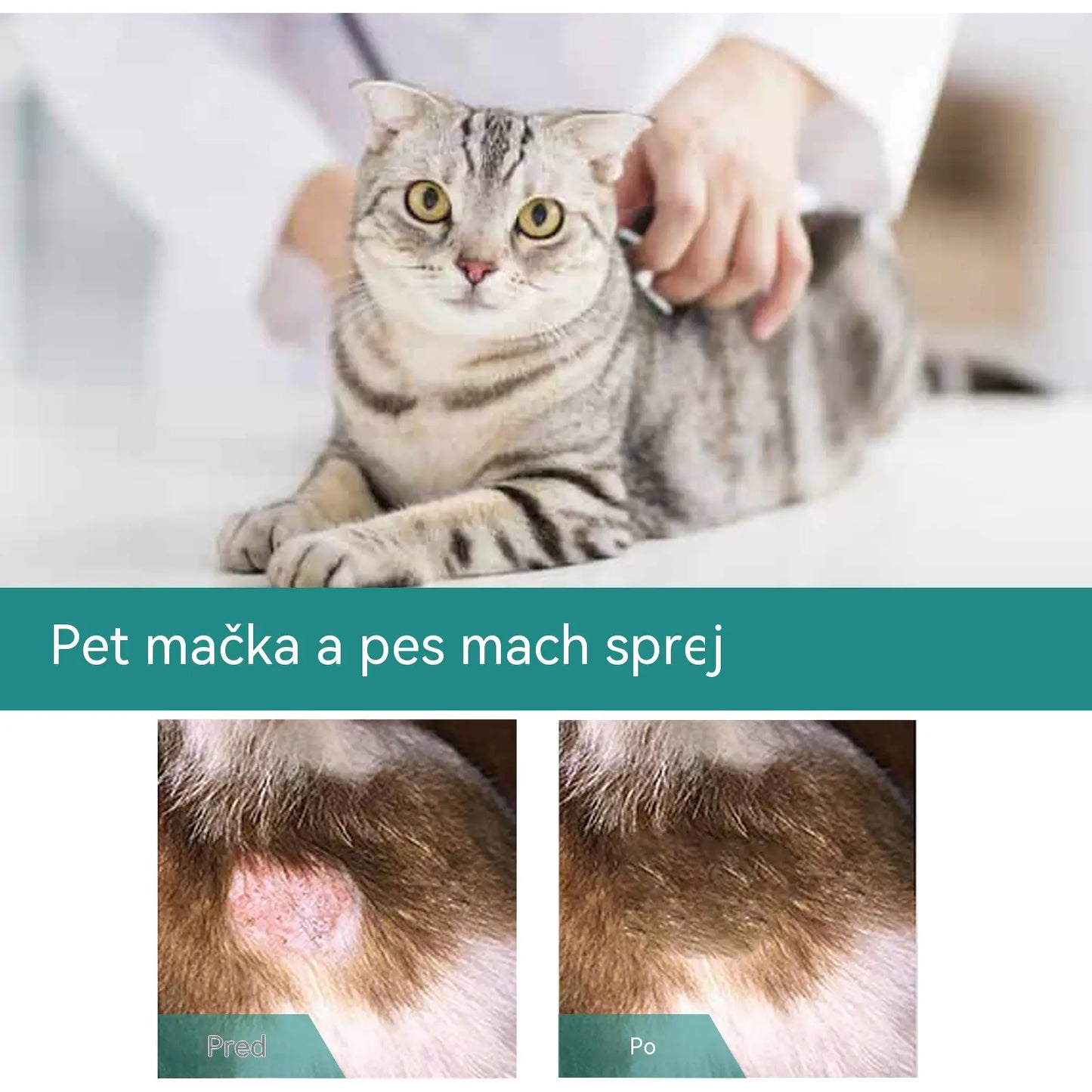 【Kúp 1, získaj 1 zadarmo】🐶🐱Sprej na rany a starostlivosť o kožu domácich zvierat pre psov a mačky