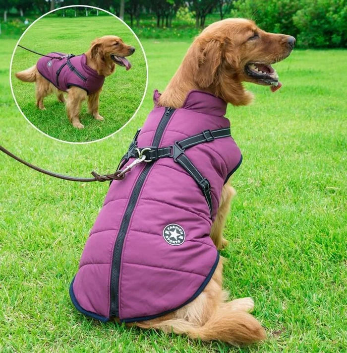 🐱🐶❄️【Kúp 1, získaj 1 zadarmo】Teplá zateplená bunda pre psov a mačky – vodeodolná, s reflexnými prvkami a integrovaným postrojom. Veľkosti S-5XL pre všetky plemená! ✨