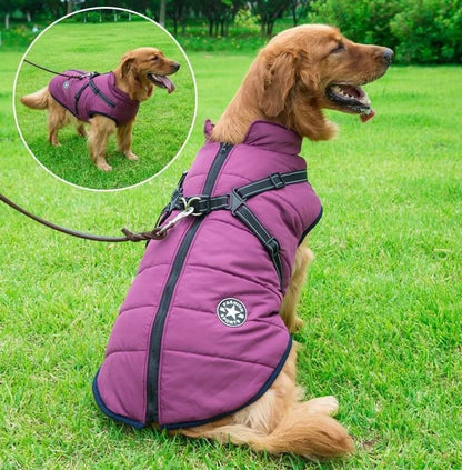 🐱🐶❄️【Kúp 1, získaj 1 zadarmo】Teplá zateplená bunda pre psov a mačky – vodeodolná, s reflexnými prvkami a integrovaným postrojom. Veľkosti S-5XL pre všetky plemená! ✨