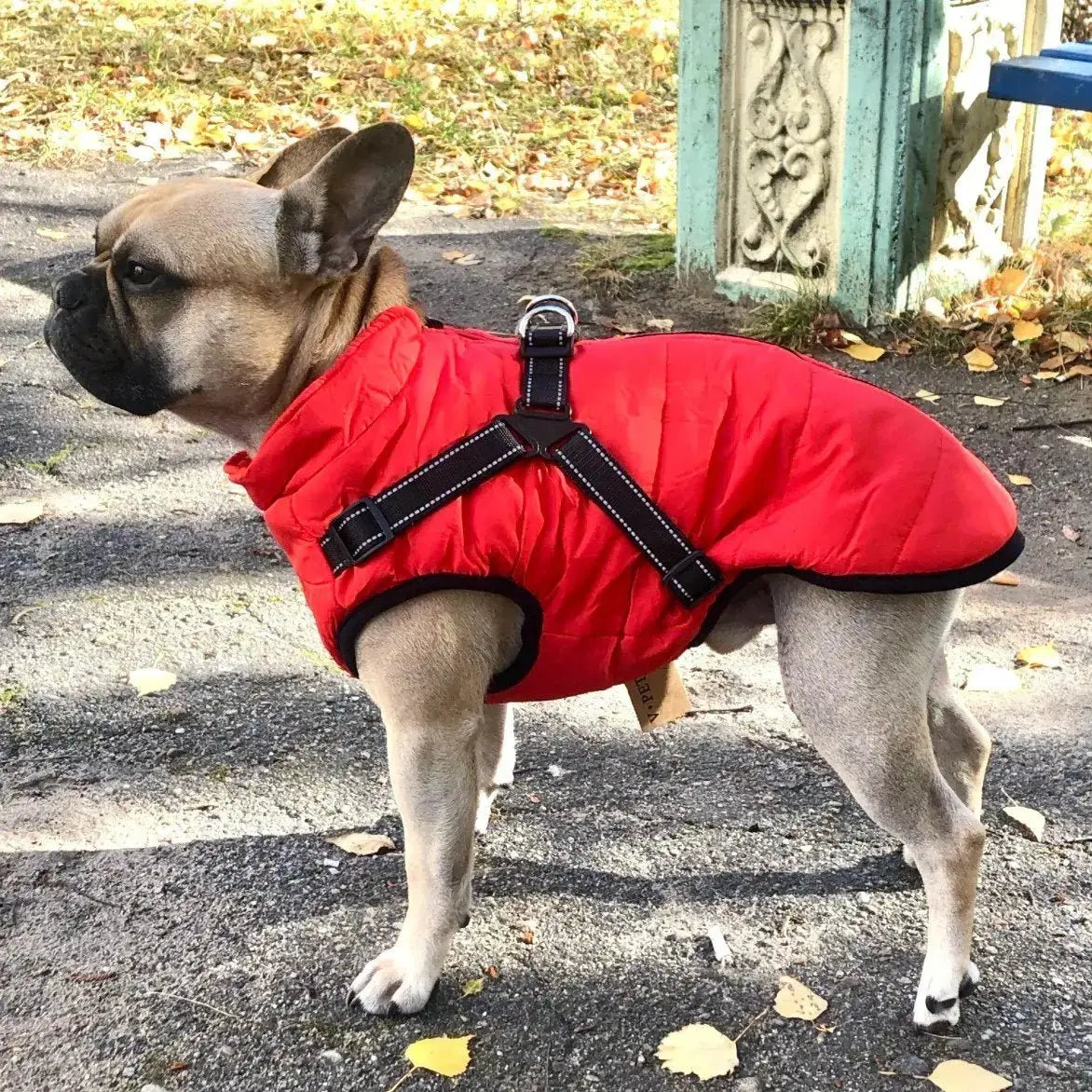 🐱🐶❄️【Kúp 1, získaj 1 zadarmo】Teplá zateplená bunda pre psov a mačky – vodeodolná, s reflexnými prvkami a integrovaným postrojom. Veľkosti S-5XL pre všetky plemená! ✨