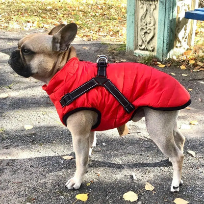 🐱🐶❄️【Kúp 1, získaj 1 zadarmo】Teplá zateplená bunda pre psov a mačky – vodeodolná, s reflexnými prvkami a integrovaným postrojom. Veľkosti S-5XL pre všetky plemená! ✨