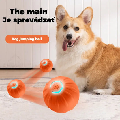 🐶🎁【Kúpte 1 a dostanete 1 zadarmo】Intelektuálna interaktívna skákacia loptička pre domáce zvieratá