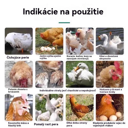 【Kúp 1, získaj 1 zadarmo】Liečba všetkých chorôb sliepok ✅ Klovanie peria, prstov na nohách alebo zadku sliepok ✅ Klovanie vajec sliepok ✅ Podvýživa hydiny ✅ Doplnok vápnika pre hydinu ✅ Všeobecná medicína pre hydinu
