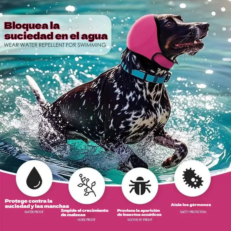 🐶 Ochranná čelenka pre psov: tlmí hluk a je vodovzdorná. Je vyrobená z vysoko kvalitného neoprénu a chráni uši vášho domáceho maznáčika a upokojuje ho. ✨🌊