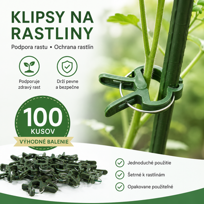 【30%OFF】🍃【100 ks.】Klipy na vinič pre záhradníctvo