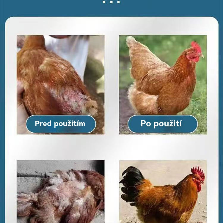 🐤【Kúpte 1 a získajte 1 zadarmo】Jedna tabletka dokáže vyliečiť chorobu ✅Kurčatá, ktoré vážne klujú perie, prsty na nohách a zadku ✅Kurčatá, ktoré klujú vajíčka ✅Podvýživa hydiny ✅Vápnikový doplnok pre hydinu na doplnenie výživy ✅Univerzálna hydina.