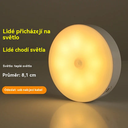 🏡💡【Kupte 2 a dostanete 2 zdarma】Inteligentní LED lampa s indukcí lidského těla, pohodlné a praktické nabíjení
