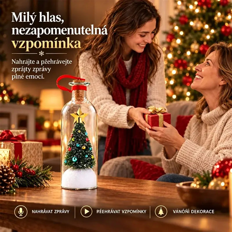 🎄Nahrateľný/prehrávateľný odkaz vo fľaši, vzácny suvenír, jedinečná bytová dekorácia.