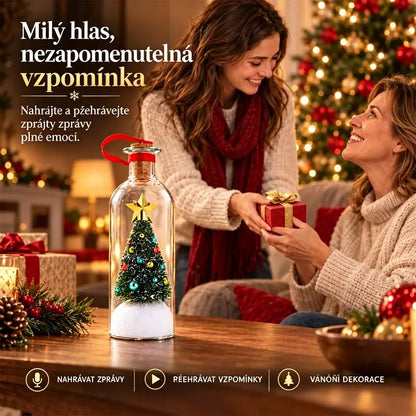 🎄Nahrateľný/prehrávateľný odkaz vo fľaši, vzácny suvenír, jedinečná bytová dekorácia.