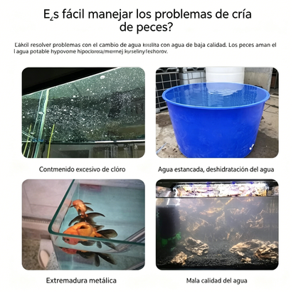 🐟【100 Tabletas】¡Compra 2 y llévate 2 gratis💧 Tabletas efervescentes para limpiar el agua de acuarios y estanques, tabletas oxigenantes para acuarios 🔥