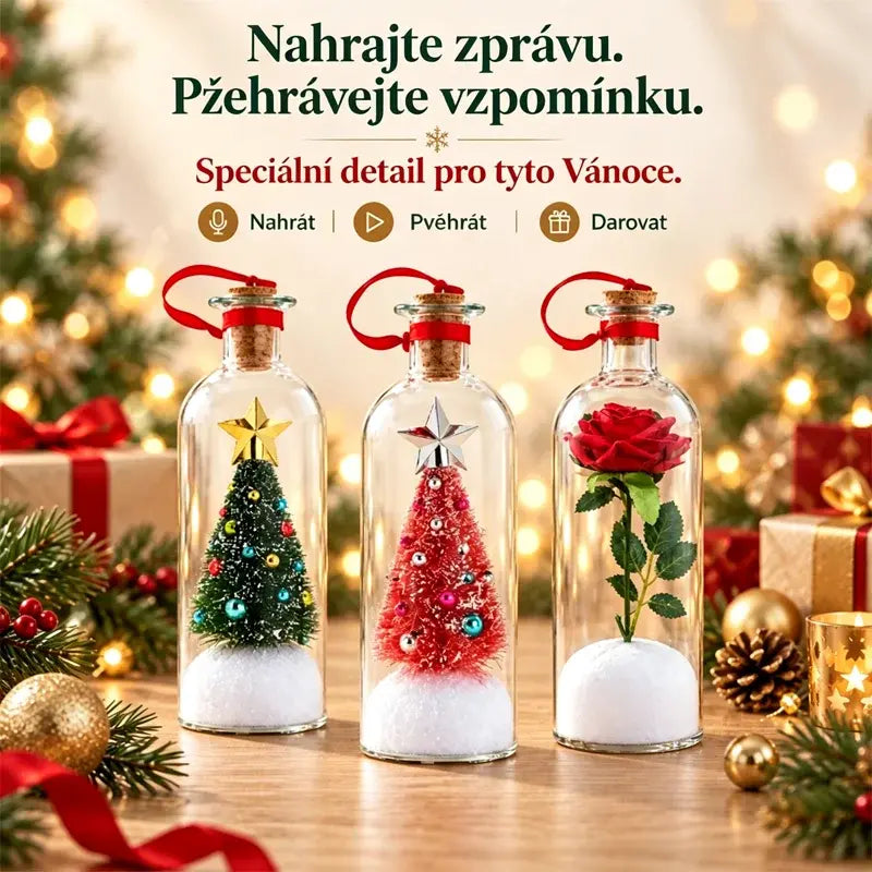 🎄Nahrateľný/prehrávateľný odkaz vo fľaši, vzácny suvenír, jedinečná bytová dekorácia.