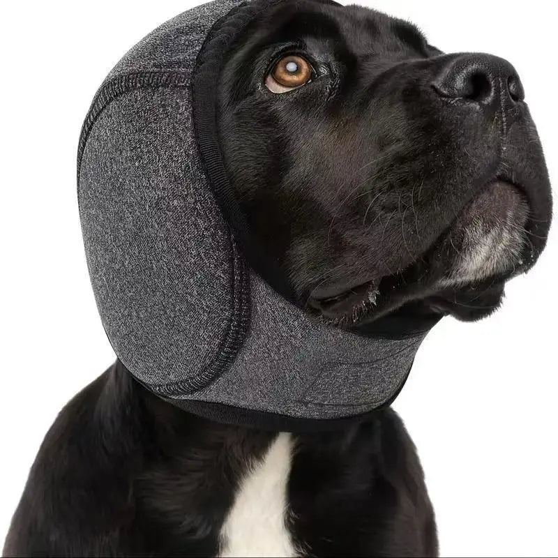 🐶 Ochranná čelenka pre psov: tlmí hluk a je vodovzdorná. Je vyrobená z vysoko kvalitného neoprénu a chráni uši vášho domáceho maznáčika a upokojuje ho. ✨🌊