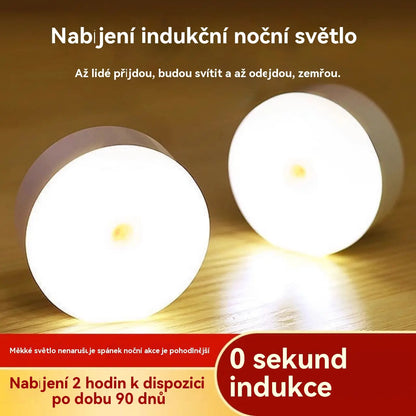 🏡💡【Kupte 2 a dostanete 2 zdarma】Inteligentní LED lampa s indukcí lidského těla, pohodlné a praktické nabíjení