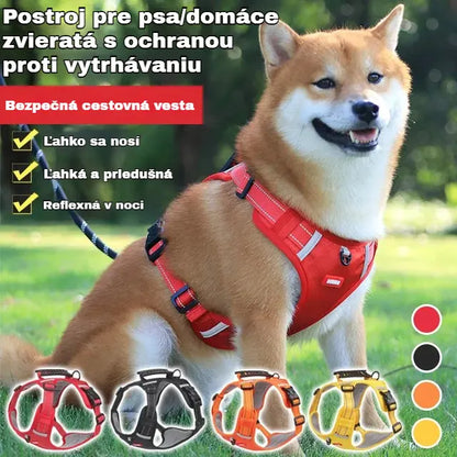 🐶【5–30 kg】Postroj pre psov, proti ťahaniu, pre domáce zvieratá.