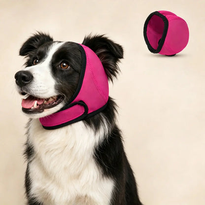 🐶 Ochranná čelenka pre psov: tlmí hluk a je vodovzdorná. Je vyrobená z vysoko kvalitného neoprénu a chráni uši vášho domáceho maznáčika a upokojuje ho. ✨🌊