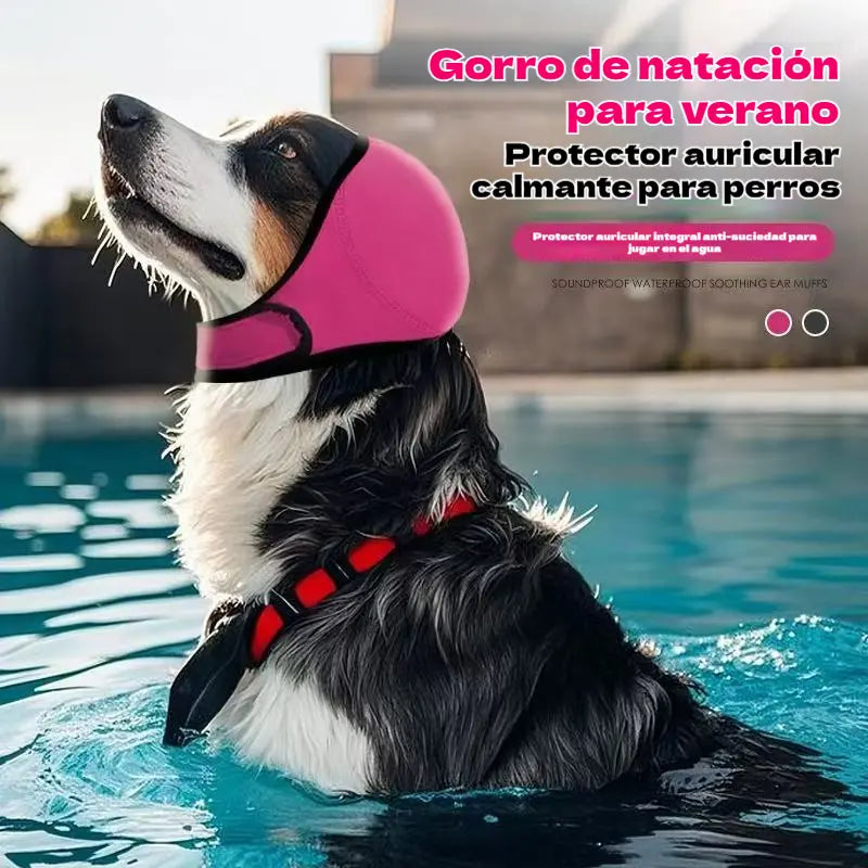 🐶 Ochranná čelenka pre psov: tlmí hluk a je vodovzdorná. Je vyrobená z vysoko kvalitného neoprénu a chráni uši vášho domáceho maznáčika a upokojuje ho. ✨🌊