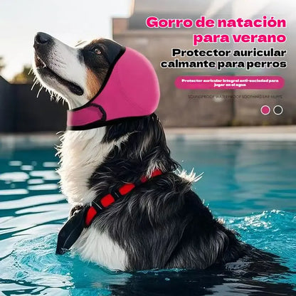 🐶 Ochranná čelenka pre psov: tlmí hluk a je vodovzdorná. Je vyrobená z vysoko kvalitného neoprénu a chráni uši vášho domáceho maznáčika a upokojuje ho. ✨🌊