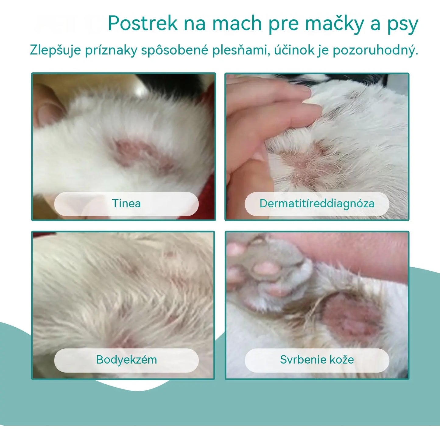 【Kúp 1, získaj 1 zadarmo】🐶🐱Sprej na rany a starostlivosť o kožu domácich zvierat pre psov a mačky